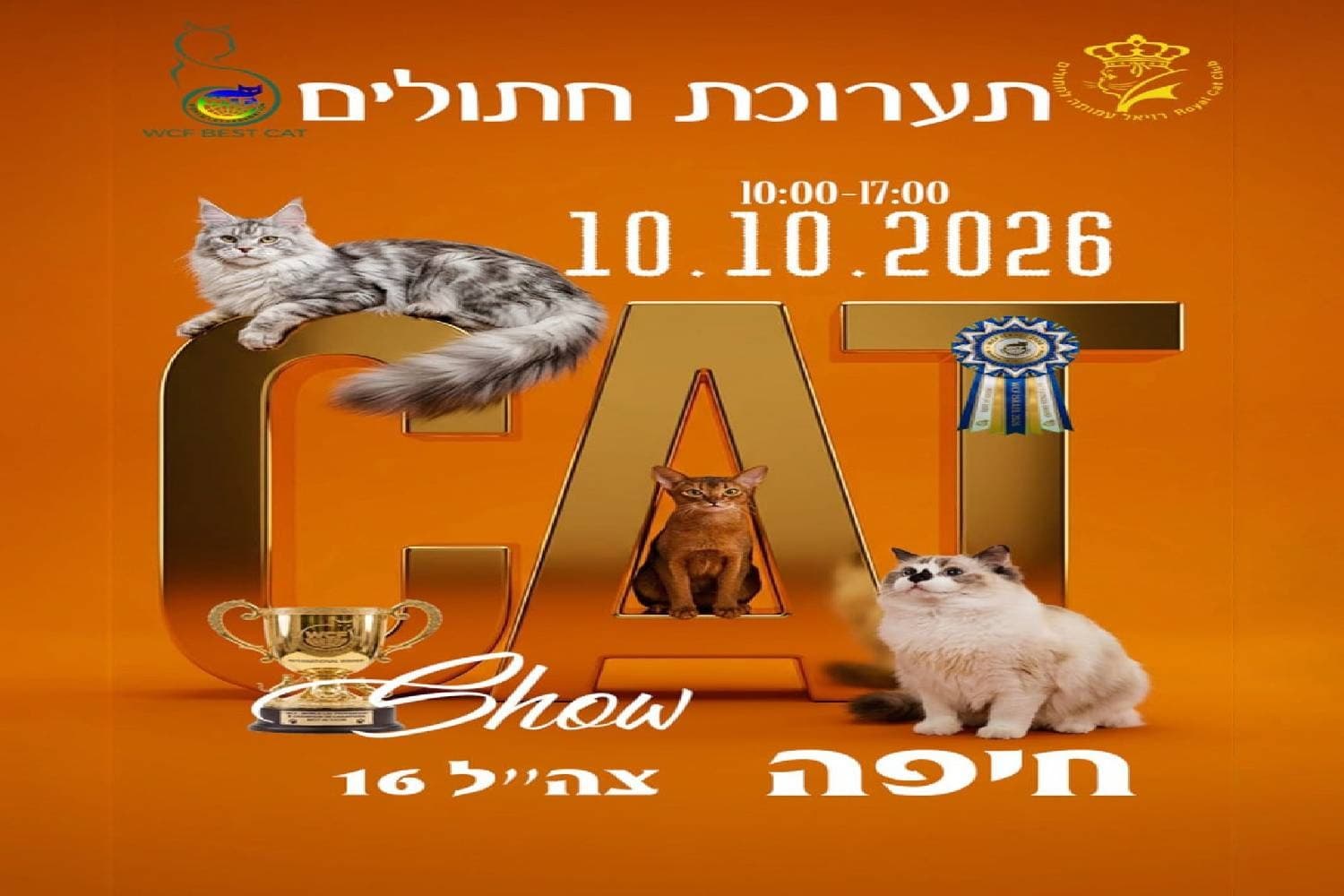 תערוכת חתולים בינלאומית בחיפה (10:00)