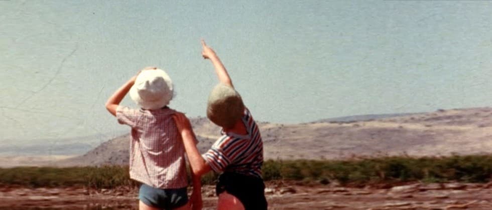 שלושה צלמים בביצה